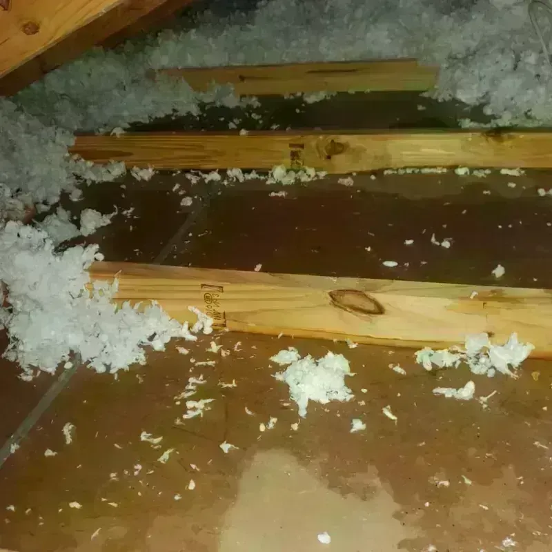 Attic Water Damage in Stanley, WI