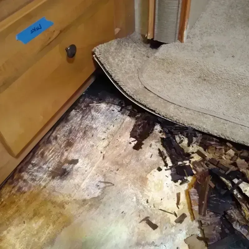 Best Wood Floor Water Damage Service in Stanley, WI